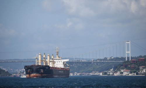 Iz Ukrajine isplovilo ukupno 27 brodova sa žitom