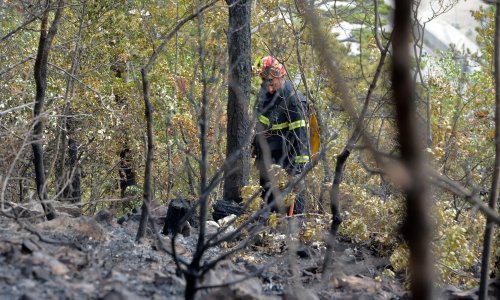 Gori iznad Brela na Biokovu: Zbog vjetra ne može intervenirati helikopter, vatrogasci krenuli pješke