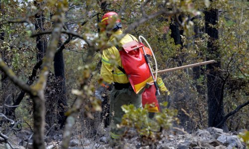 Vatreno poslijepodne: Gromovi izazvali 30-ak požara u Splitsko-dalmatinskoj županiji