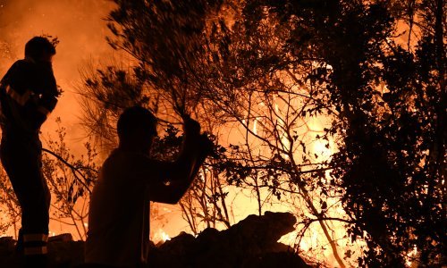 [VIDEO] Požar na skradinskom području gasi 40 vatrogasaca, nagorjela jedna kuća; gori i kod Polače