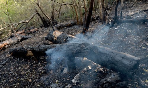 Napokon ugašen požar u Segetu Gornjem, vatrogasci dežurali cijelu noć