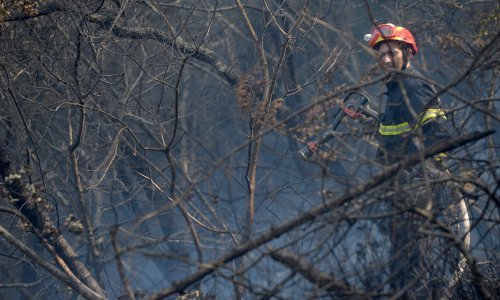 Lokaliziran požar kod Skradina