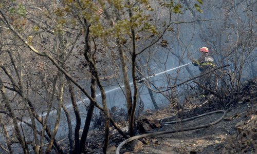 Istovremeno kod Žminja buknula dva požara, na kilometar su udaljenosti jedan od drugog