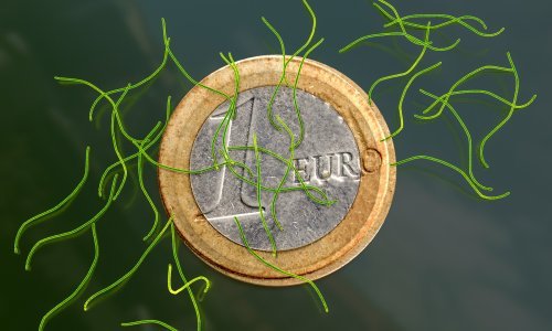 Najveća bakterija na svijetu vidljiva je golim okom: Izgleda poput ljudske trepavice