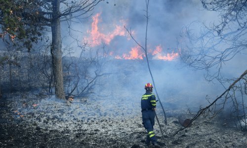 [VIDEO/FOTO] Burna noć s požarima: Ozlijeđen vatrogasac kod Omiša, gorjelo i u Splitu i Segetu Gornjem