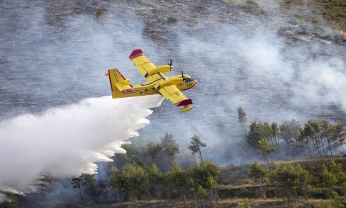 Prizemljen još jedan kanader! Gasio je požar kod Dubrovnika i naletio na pticu
