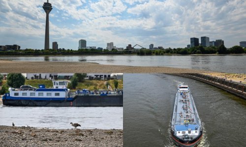 [FOTO] Rijeka Rajna, ključni europski prometni pravac, skoro je presušila. Brodovi plove poluprazni, na vidiku nova kriza u opskrbi