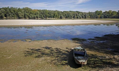 Suša ugrozila vodostaj Rajne, nastavi li se ovakva situacija, promet rijekom će biti obustavljen