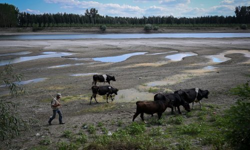[FOTO] Europske rijeke bez vode: Ovo bi mogla biti najgora suša u posljednjih 500 godina