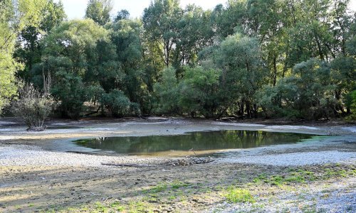[FOTO] Pogledajte nevjerojatne prizore iz Zagreba: Poznato jezero i kupalište gotovo je potpuno presušilo!