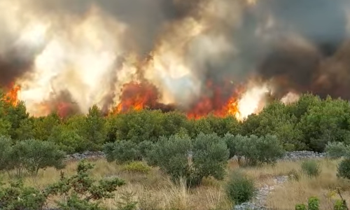 [FOTO/VIDEO] Požar kod Šibenika pod nadzorom: Nema otvorene vatre koja je izvan kontrole, na požarištu tri Air Tractora