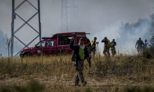 Lokaliziran požar kod Vrpolja, jedna osoba privedena