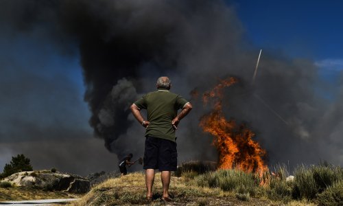 Portugal se priprema za treći toplinski udar: Na snagu stupilo izvanredno stanje, velika opasnost od šumskih požara