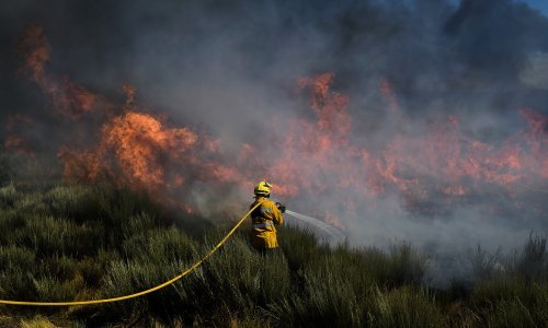Požar u Portugalu zahvatio 60 četvornih kilometara šume, gašenje će trajati danima