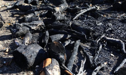 U požarima u Virovitici i Svetom Križu dvije osobe zadobile opekline