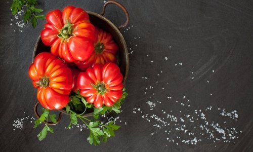 Uz pomoć ovog trika sa soli svaka rajčica će imati bolji okus
