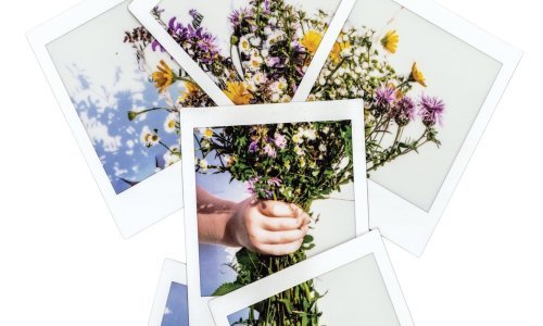 Smaragdni Eco Film Festival educira publiku o važnosti ekologije