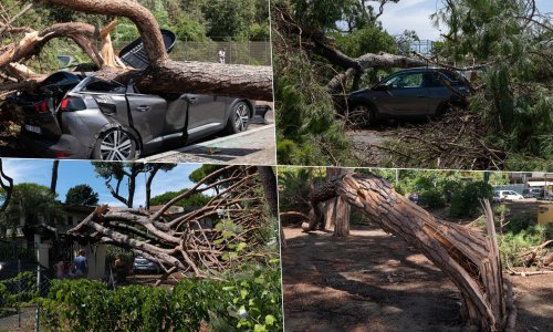 [FOTO] Najmanje 13 poginulih u snažnim olujama u Europi, većina je stradala u padu stabala. Izdano upozorenje za Hrvatsku