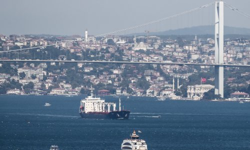 Tanker s ukrajinskim žitom se zbog kvara kormila nasukao, promet Bosporom je bio u potpunosti zaustavljen