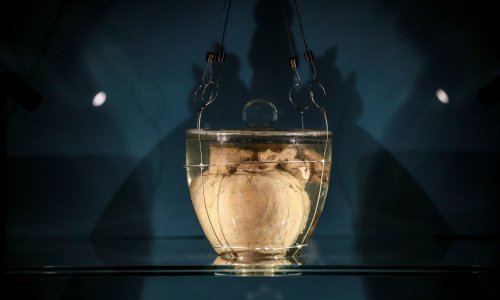 [FOTO] Brazil izlaže vrijednu relikviju Srce portugalskog monarha Dom Pedra I., čuva se u formaldehidu još od 1834.