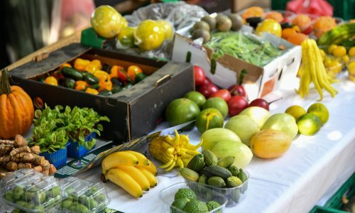 Europski uzgajivači povrća strahuju od troškova staklenika i hladnjača