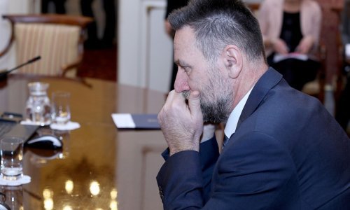 Schlesinger: Barišić je plagirao moj rad