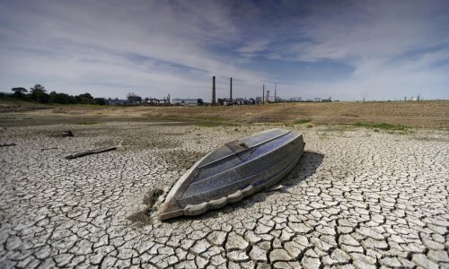 [FOTO] Najgora suša u posljednjih 60 godina u Kini: Voda se povukla iz riječnih korita i jezera, otkrivena i 600 godina stara budistička rezbarija