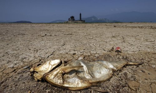 Glavni tajnik UN-a upozorio: 'Nijedna ekonomija nije pošteđena klimatske krize'