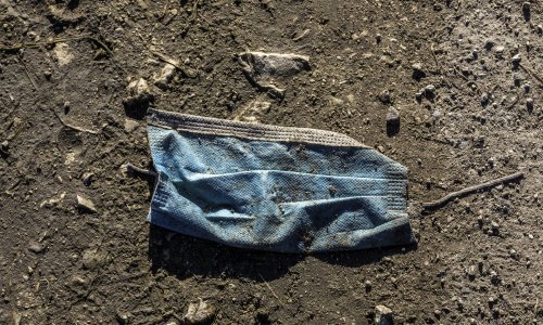 Mnogi su se rugali ovoj teoriji, no danas znamo: najveće neznalice najviše se vole razmetati svojim znanjem