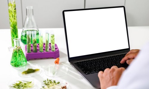 Fotosinteza je moguća i u mraku