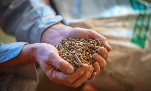 U Hrvatskoj se sve teže dolazi do peleta, a cijene vrtoglavo rastu: Najveći hrvatski proizvođač najavljuje vaučere, saznali smo za koga i kako do njih