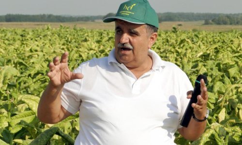 Smjena na čelu Hrvatskih duhana: Pleša umjesto Boića