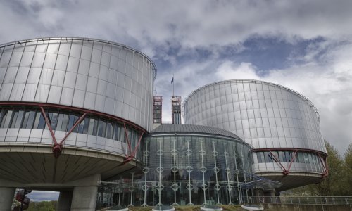 Europski sud za ljudska prava: Ocu četvero djece povrijeđeno pravo na poštovanje njegovog obiteljskog života