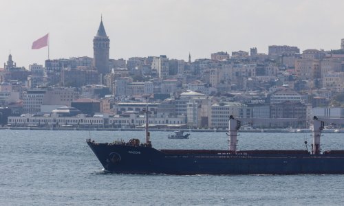 Brod sa žitom iz Ukrajine nasukao se u Istanbulu i zaustavio plovidbu Bosporom