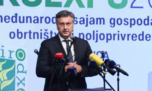 Plenković o upravljanju Inom: 'Moramo staviti sve karte na stol, ovo više ovako ne ide!'