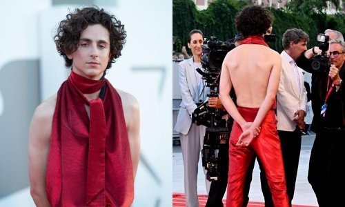 Svojim je stajlingom zasjenio sve žene na crvenom tepihu: Timothee Chalamet u najhrabrijem izdanju do sada