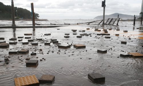 U novom tajfunu u Japanu poginula jedna osoba