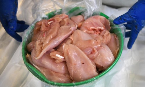 Problemi peradara u Francuskoj: Pileća prsa iz Ukrajine gotovo su upola jeftinija od francuskih