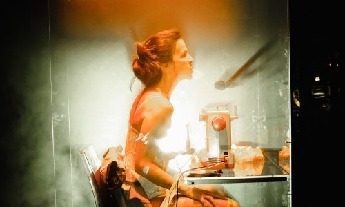 Premijera nove predstave u režiji Senke Bulić