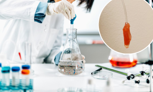 Kanadski znanstvenici uzgojili minijaturno srce