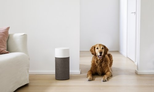 Dom ili ured bez alergena, bakterija i virusa moguć je uz Blueair pročišćivače zraka