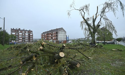 Proglašena prirodna nepogodna za mjesta opustošena olujnim nevremenom u Bjelovarsko-bilogorskoj županiji