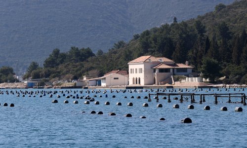 Ronioci Civilne zaštite čiste Malostonski zaljev i vježbaju u smanjenoj vidljivosti