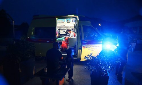 Automobil udario u 'jelensku divljač', jedna osoba završila u bolnici