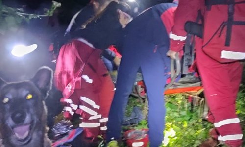 Potražni pas Max pronašao nestalog muškarca na zapuštenim ribnjacima kod Donjeg Miholjca