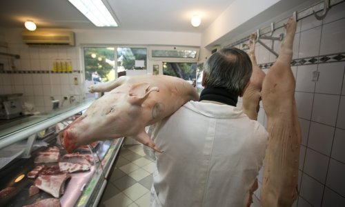 Računica je jasna: Nastavi li se ova situacija, Hrvatska će ostati bez svinjskog mesa