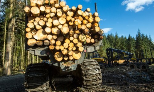 Cijena drva za ogrjev i peleta u Njemačkoj odletjele u nebesa