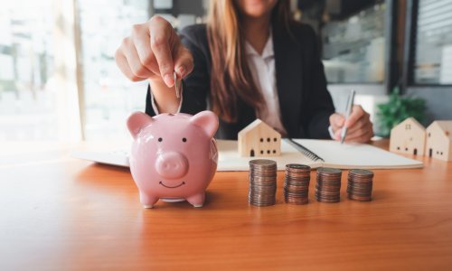 Pristupačan način popunjavanja kućnog budžeta