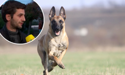 Otac djeteta nakon napada psa: Djeca su u šoku, bolovima... Tražit ću najstrožu kaznu za vlasnika