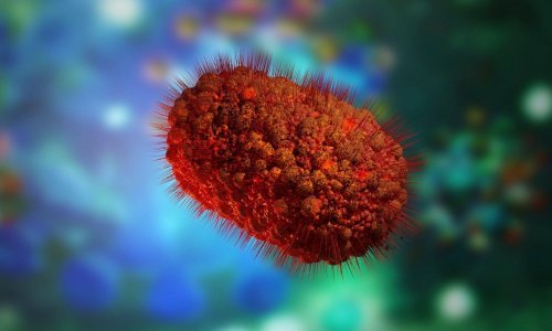 Opasan virus širi se u nekoliko europskih zemalja: 'Razvoj događaja je drugačiji nego prije'